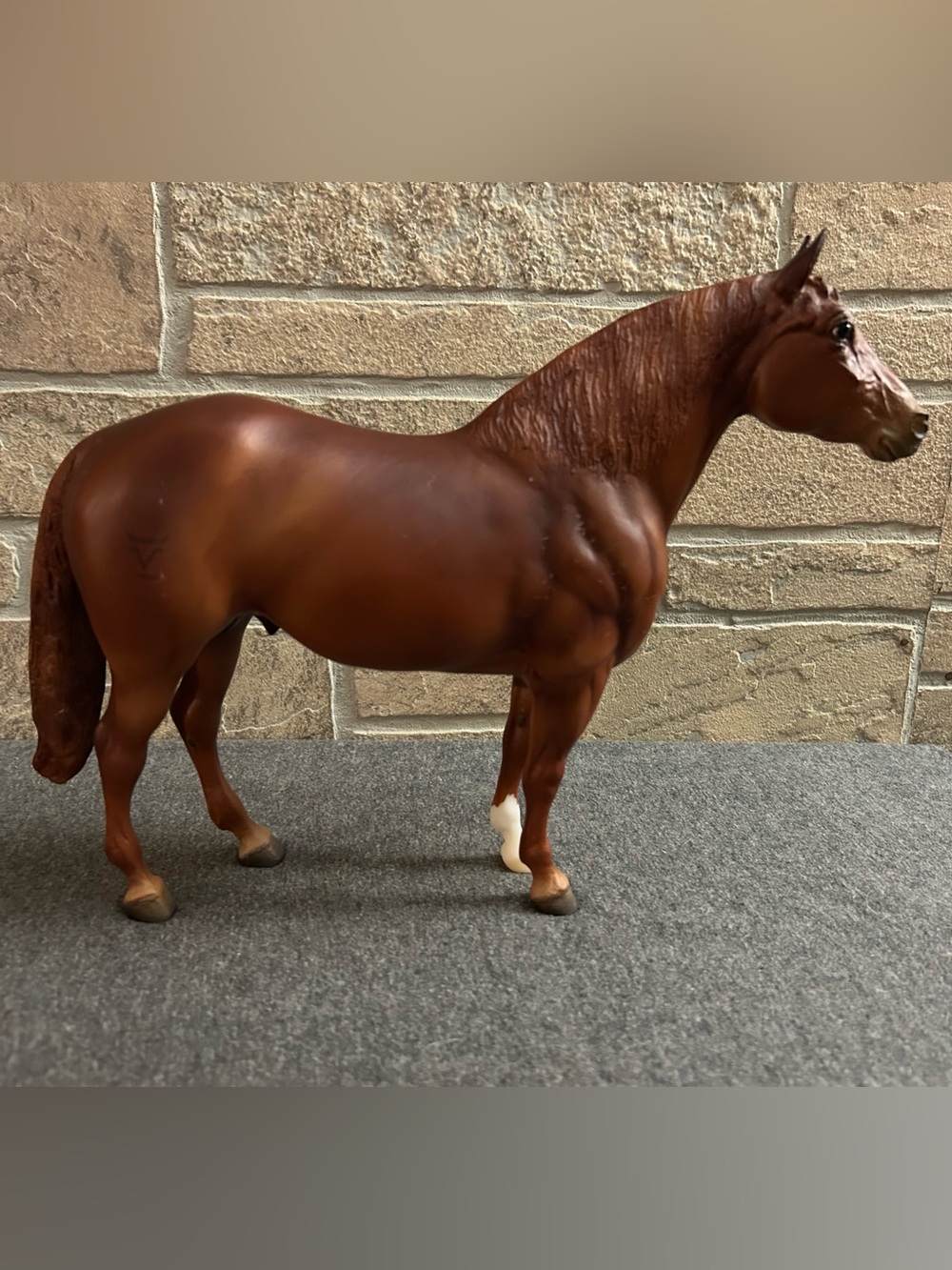 Breyer 2024 Model “Peyton”